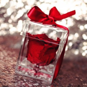 Custom Single Preserved Rose Acrylic Box | mahjcustom.com