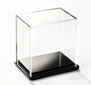Custom Acrylic Display Box with Black Base