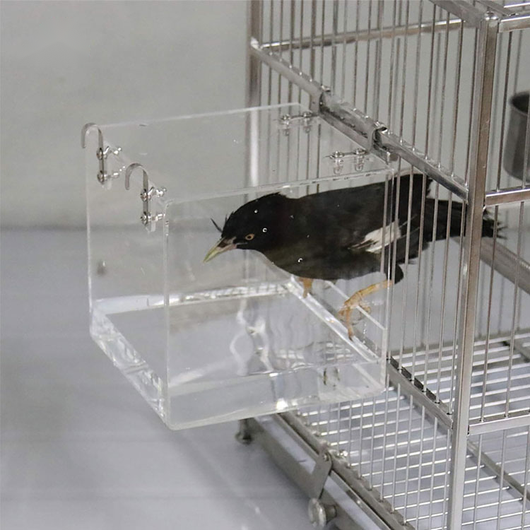 Clear Acrylic Box for a Bird Feeder