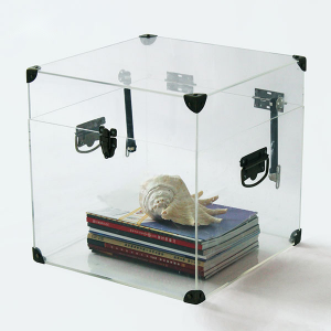 Large Acrylic Box